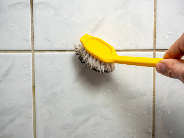 Best Bathroom Mold Remediation in Bryan, OH